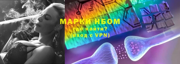 прущие грибы Алзамай