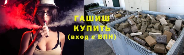 прущие грибы Алзамай