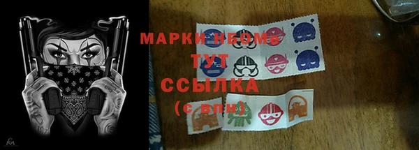 гашик Алексин