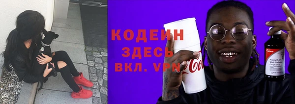 гашик Алексин