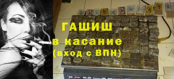 прущие грибы Алзамай