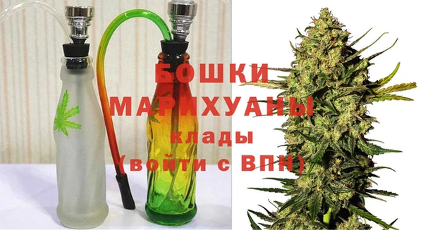 прущие грибы Алзамай