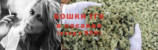 гашик Алексин