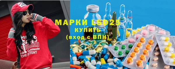 гашик Алексин