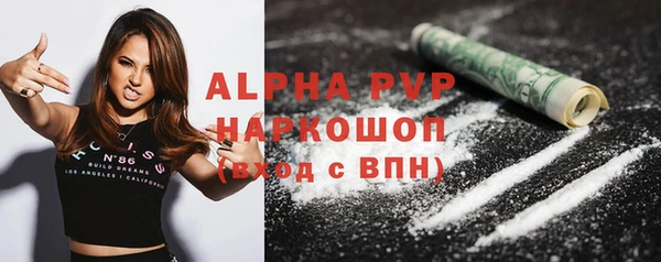 гашик Алексин