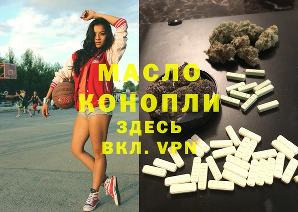 гашик Алексин