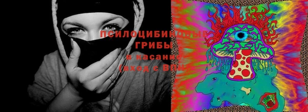 гашик Алексин