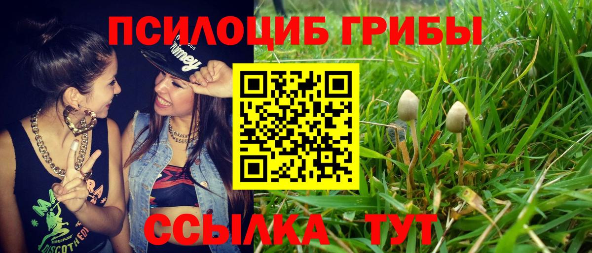 Галлюциногенные грибы Cubensis  Галлюциногенные грибы Cubensis  Вход с VPN  Березники 