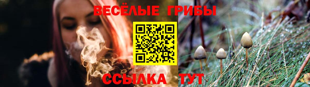 Галлюциногенные грибы Cubensis Березники